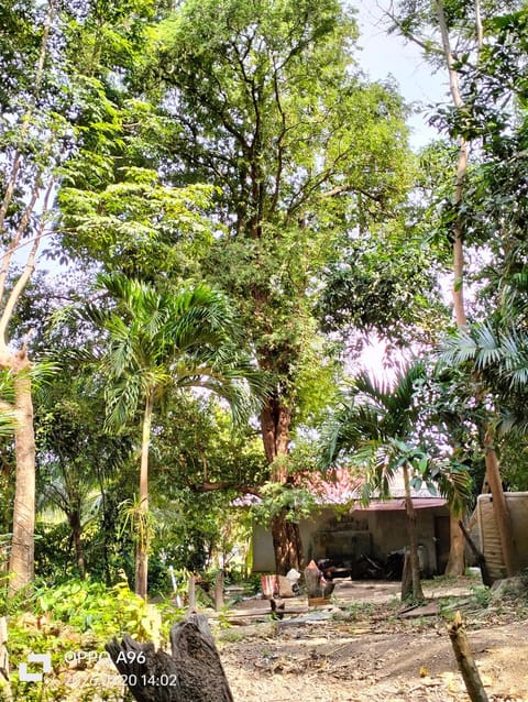 Baan Saikuan House in Sala Dan