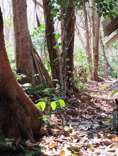 Baan Saikuan House in Sala Dan