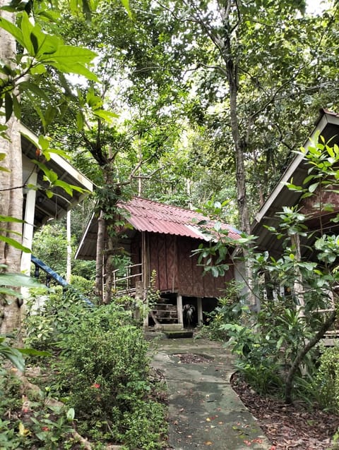 Baan Saikuan House in Sala Dan