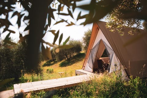 Natural landscape, Garden view