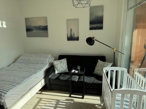 Bed, Living room, Photo of the whole room, Seating area, Bedroom