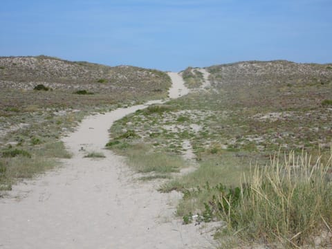 Natural landscape