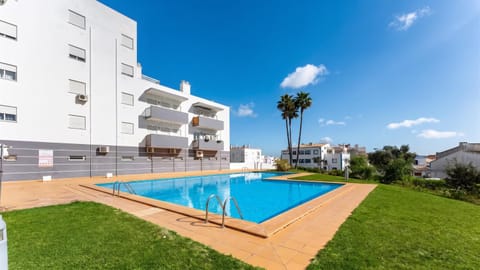 Garden, Swimming pool