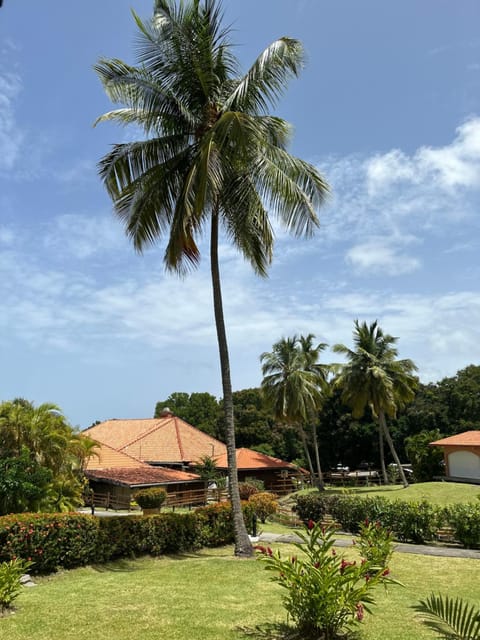 Garden, Garden view