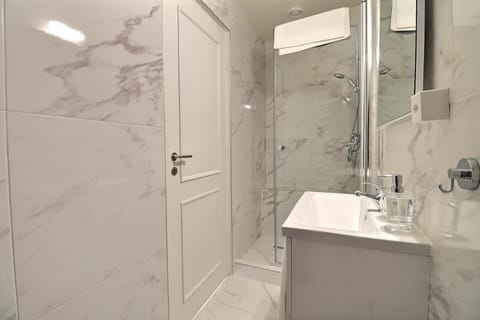 Attique Studio A Apartment in Geneva