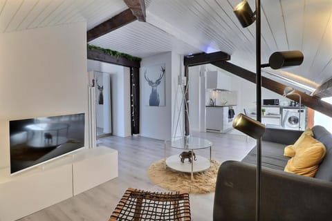 Attique Studio A Apartment in Geneva