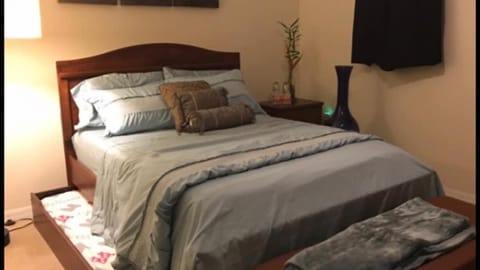 Home Near Disney Private Pool & Playground House in Howey in the Hills