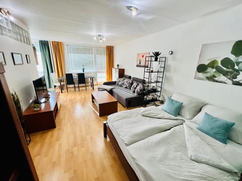 TV and multimedia, Living room, Photo of the whole room, Seating area, Bedroom