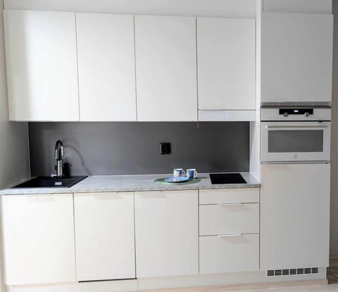 Kitchen or kitchenette, dishwasher, oven, stove