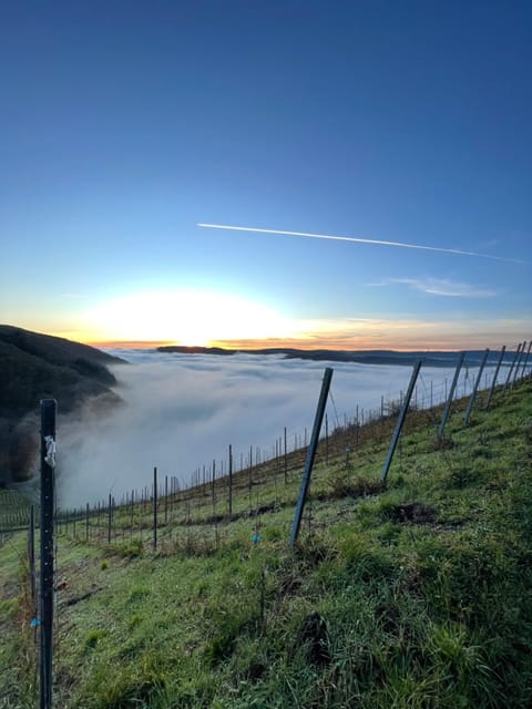 Urlaub-WeinhofHerrenberg 1 Apartment in Trier-Saarburg