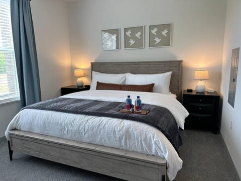 The Dublin Designer 1st Floor Available Now Apartment in Hilliard