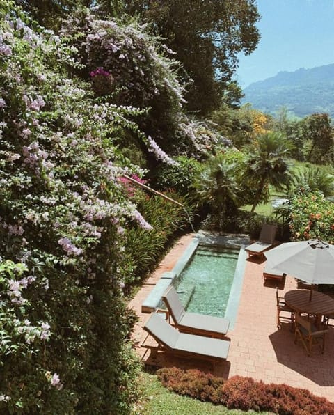 Natural landscape, Garden, Garden view, Swimming pool