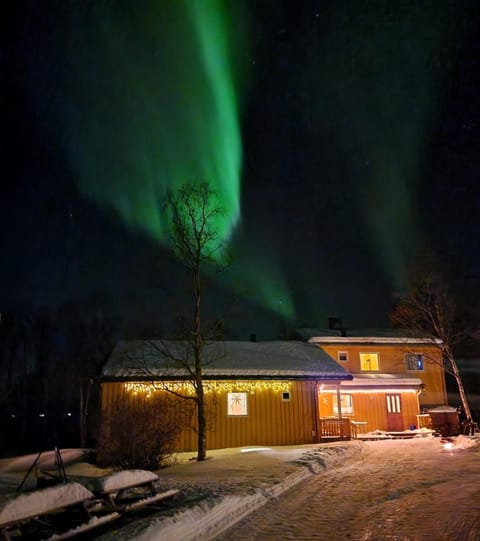 Property building, Night, Winter