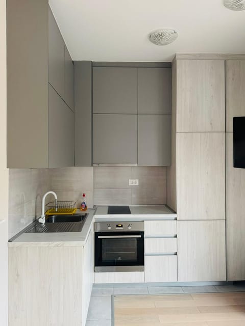 Kitchen or kitchenette, dishwasher, stove