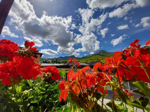 Nühus 1. OG Apartment in Arosa