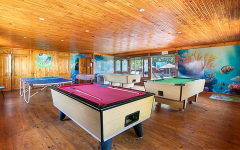 Knysna - Fern Cottage Chalet in Knysna