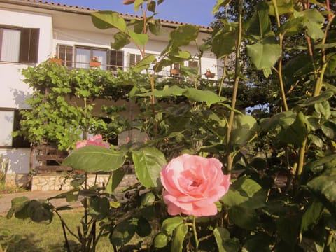 Garden, Balcony/Terrace