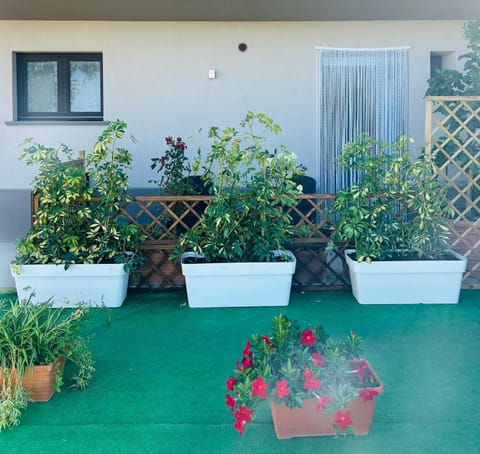 Agriturismo Nonno Antonino Apartment in Piano di Sorrento