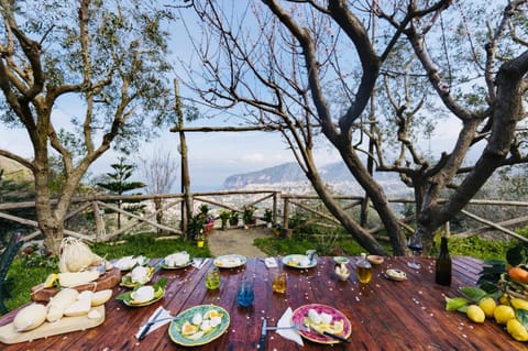 Agriturismo Nonno Antonino Apartment in Piano di Sorrento