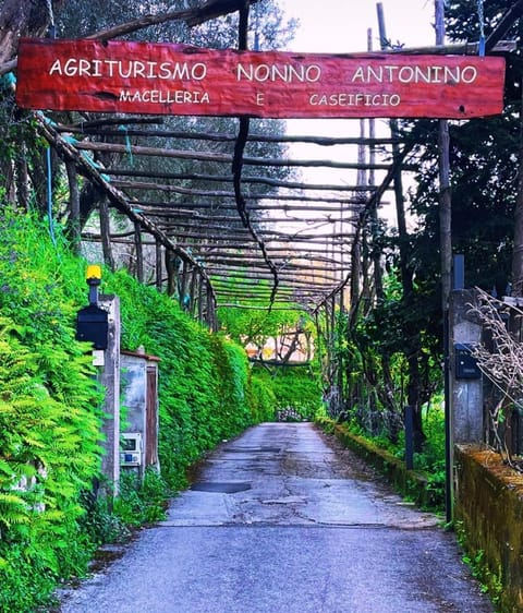 Agriturismo Nonno Antonino Apartment in Piano di Sorrento