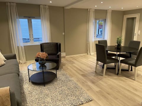 Downtown apartment high standard Apartment in Lofoten