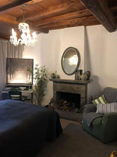 Bed, Photo of the whole room, Bedroom, fireplace