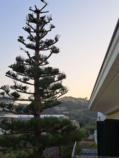 Day, Natural landscape