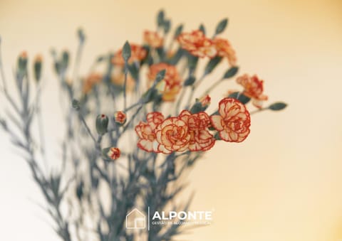 Casa da Melanie House in Viana do Castelo District, Portugal