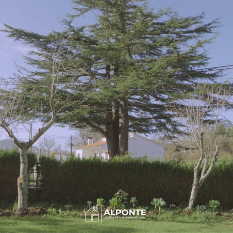 Casa da Melanie House in Viana do Castelo District, Portugal