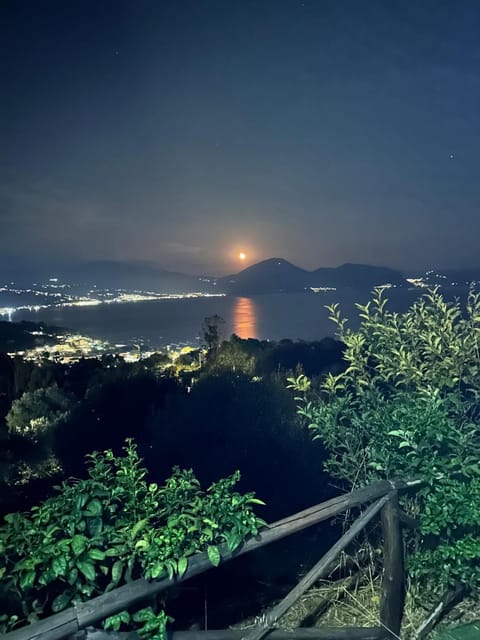 Summer, Balcony/Terrace, Garden view, Sea view