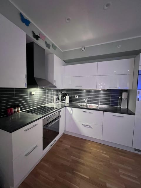Kitchen or kitchenette, dishwasher, stove