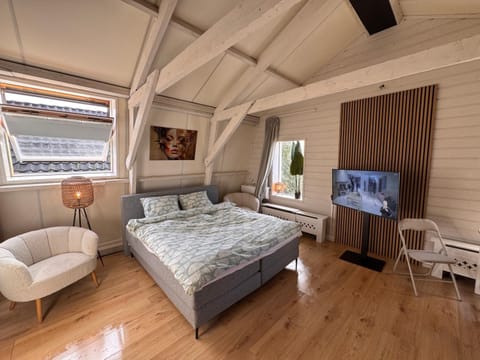 Bed, TV and multimedia, Living room, Photo of the whole room, Bedroom
