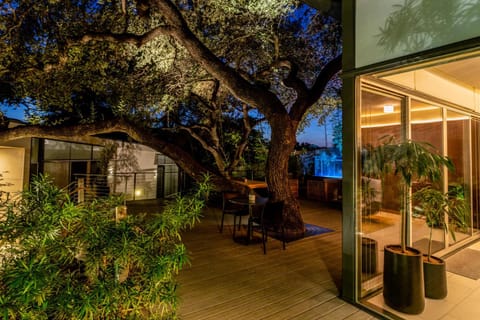 Patio, Night, Garden, Garden view