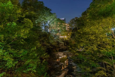 Night, Natural landscape