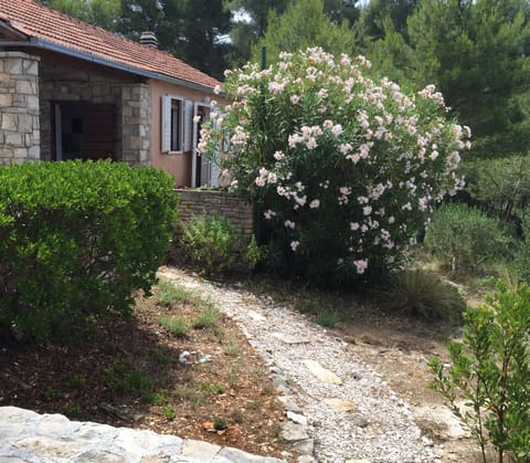 Property building, Spring, Garden, Garden view