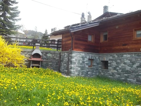 BBQ facilities, Garden