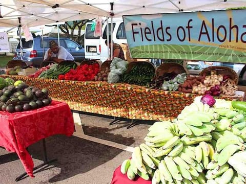 The Perfect Escape Apartment in Kailua