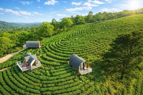 Garden view, Mountain view