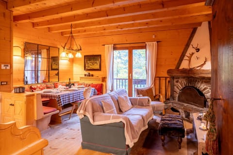 Living room, Seating area, Dining area, Mountain view, fireplace