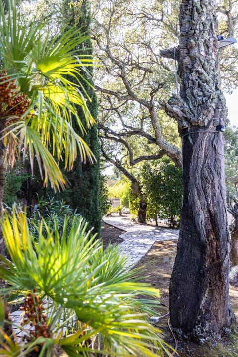 Villa Reninca - Côte D'Azur Villa in Gassin