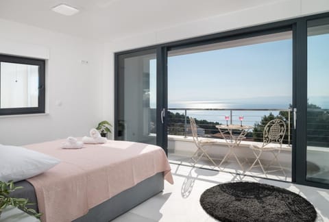 Luxury Villa Ivana Brela heated pool 28 m2, gym Villa in Brela