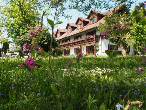 Garden, Garden view