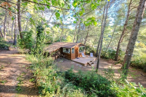 Natural landscape, Garden view