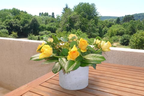 S-Gästehaus 75 Apartment in Saarbrücken