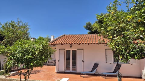 Property building, Day, Garden, Garden view