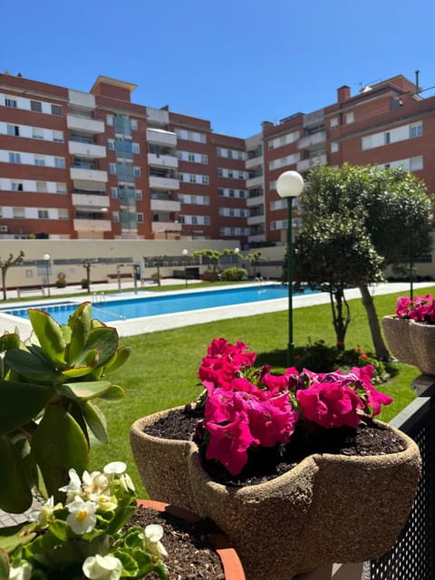 Property building, Day, Garden, Garden view, Pool view, Swimming pool
