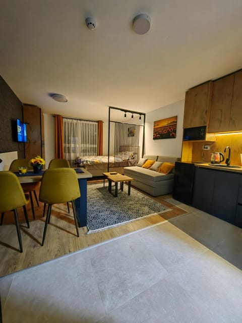 Bed, TV and multimedia, Kitchen or kitchenette, Living room, Photo of the whole room, Seating area, Dining area, Evening entertainment, Bedroom