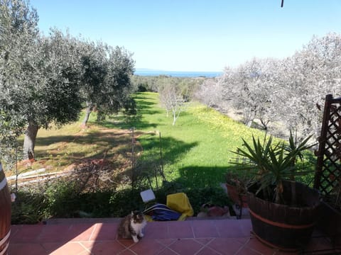 View (from property/room)