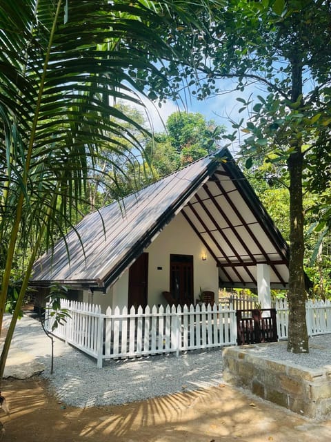 Property building, Garden view