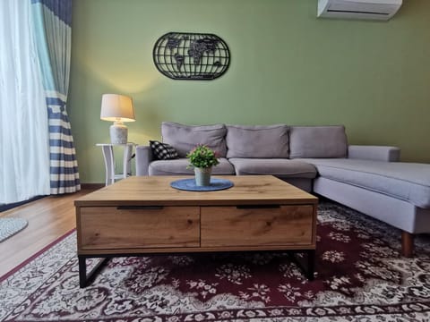 Living room, Photo of the whole room, Seating area, air conditioner